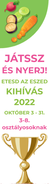 kihivas_2022_banner_allo.png